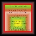 Ghazal 02 * 22.03.2008 * 412 x 658 * (41KB)